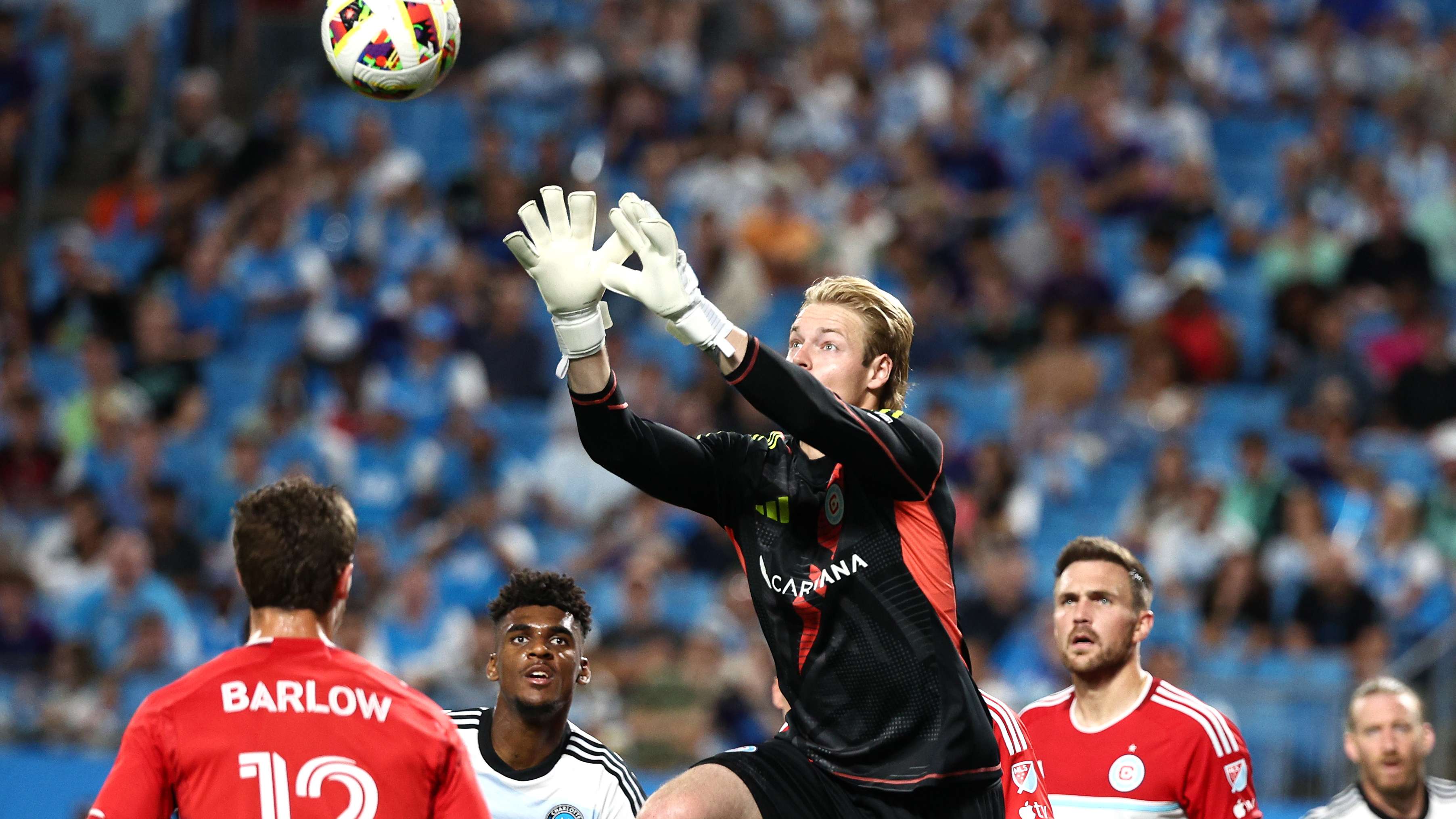 往往能够在 往往能够在