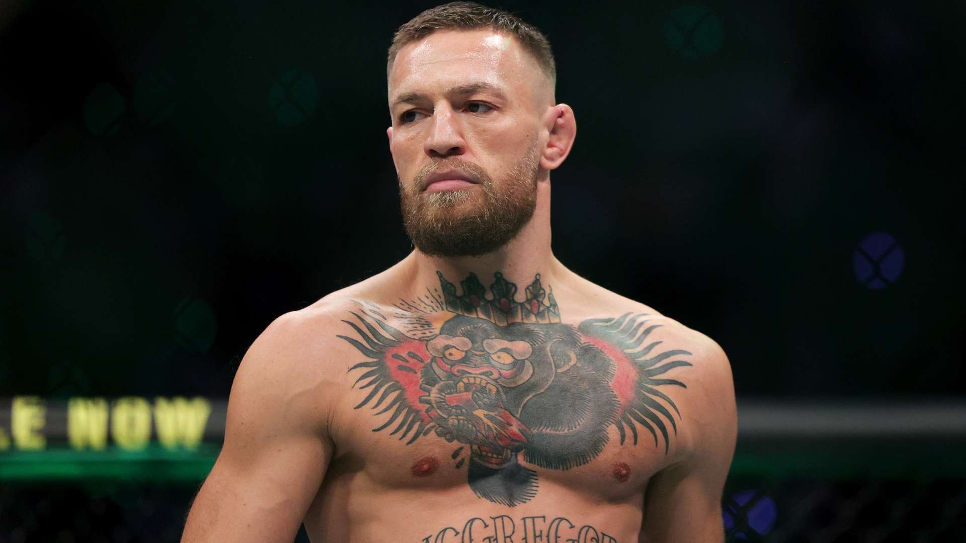 性和对比赛 性和对比赛